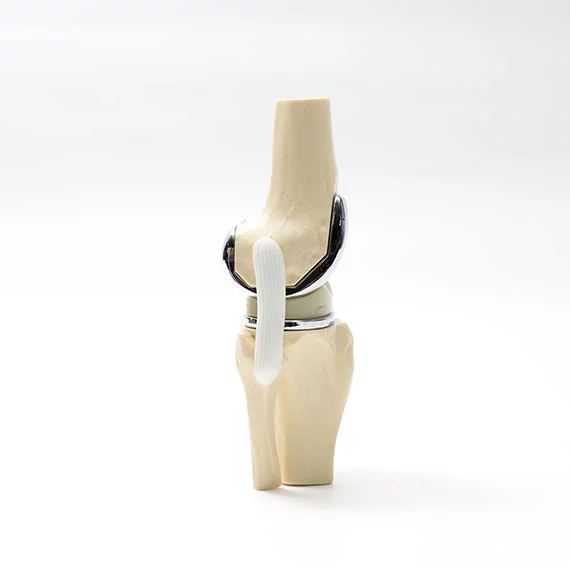 Artifical Ligaments And Tendons2 Artifical Ligaments And Tendons2